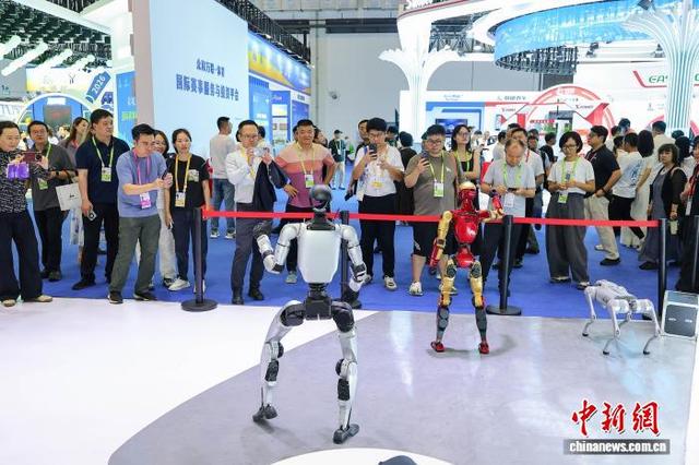 探馆消博会：多款智能机器人集中亮相
