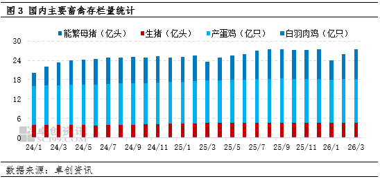 玉米季度分析：一季度饲用需求同环比双增，二季度或季节性减量