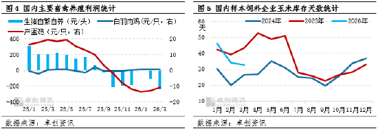 玉米季度分析：一季度饲用需求同环比双增，二季度或季节性减量