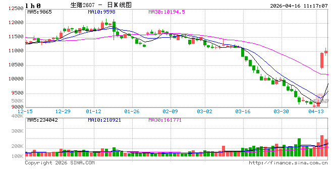 高瞻远“猪”：一季度生猪市场深度承压 二季度价格或延续磨底