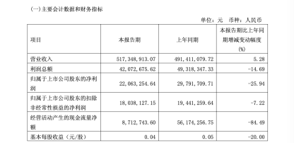 现金流骤降84%，大胜达净利下滑背后：方能斌家族的5.5亿GPU跨界故事还在继续 | 长三角资本局