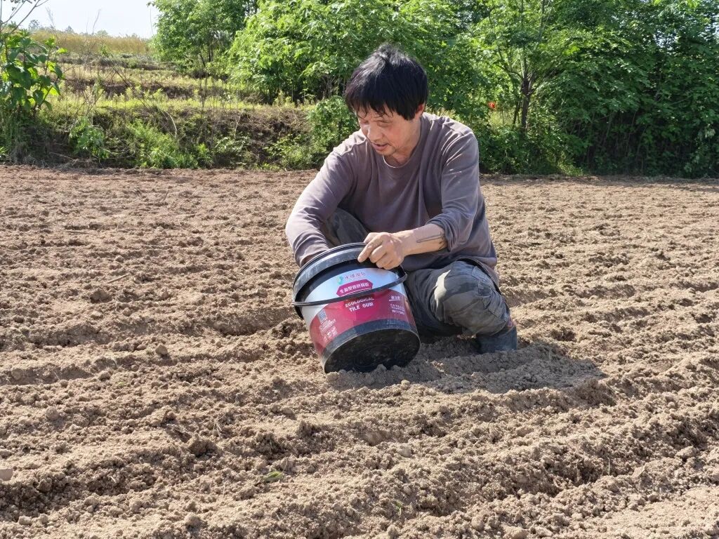 江西鄱阳28.5亿建的高标准农田成摆设？“已排查出446个问题”