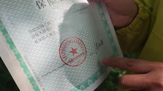 中国人寿业务员涉嫌用假合同诈骗24万！警方：诈骗人数众多、涉案金额巨大，业务员被拘留