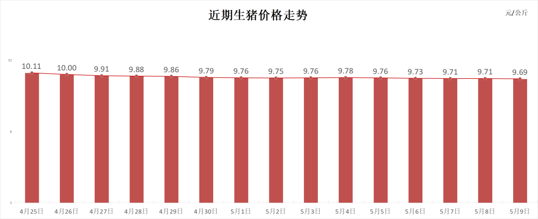 每日猪讯5.9