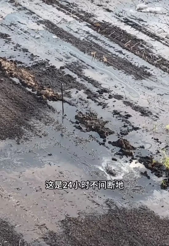 山东菏泽曝大量农田遭污染，官方回应：已成立“专班”介入调查