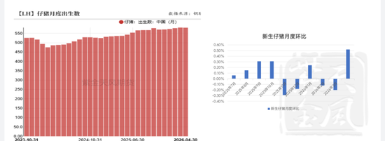 生猪：产能还需消化，底部震荡看待