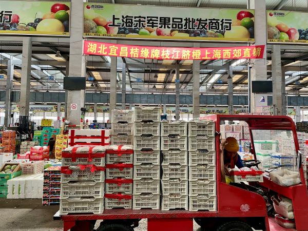 “违规泡药”拖累杨梅价格跳水,殃及整个产业靠什么破局