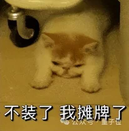刚刚,马斯克公开SpaceX招股书